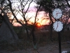 Etosha 2 149